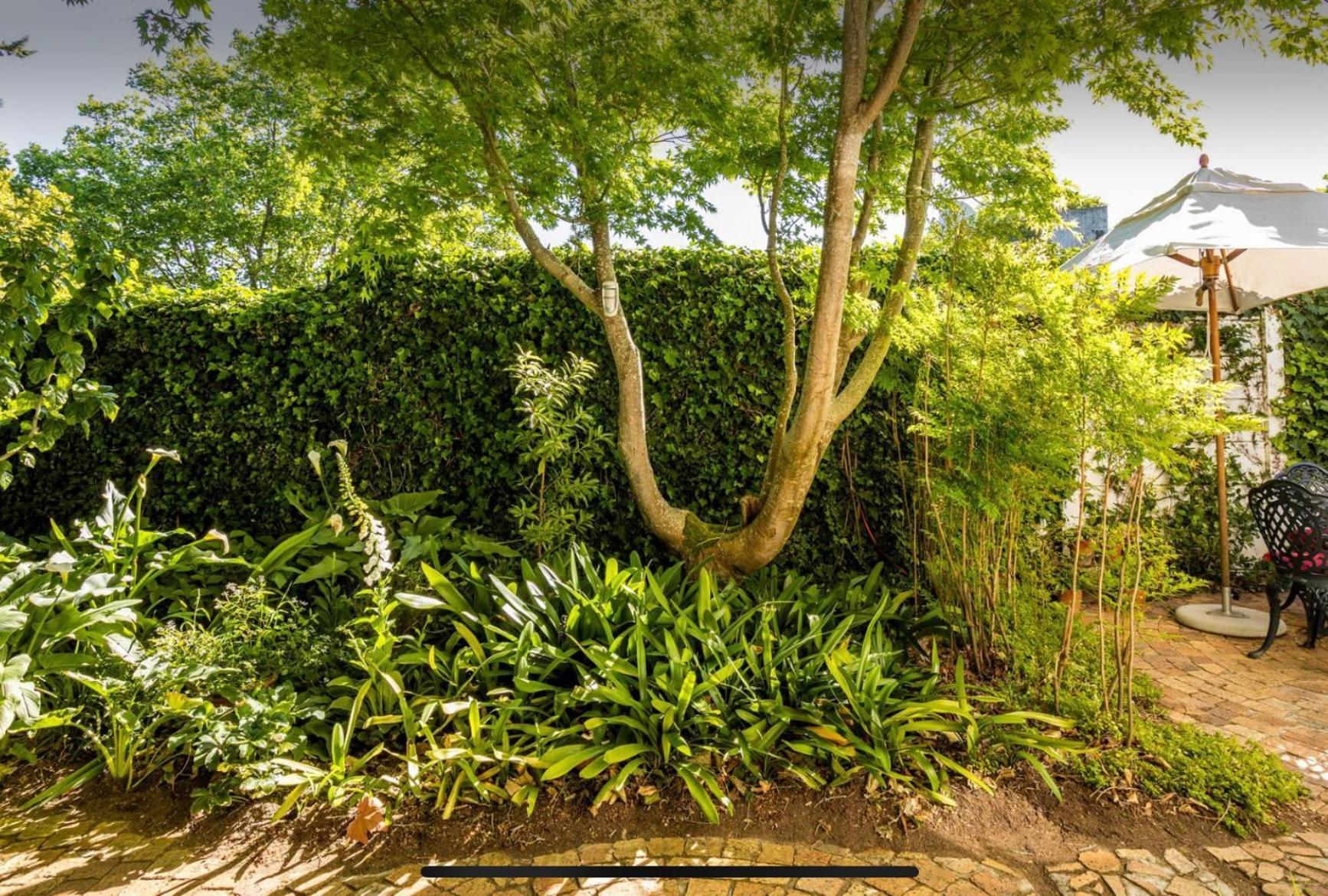 Guest Suite - Leafy Constantia Guest House Cape Town Exterior photo